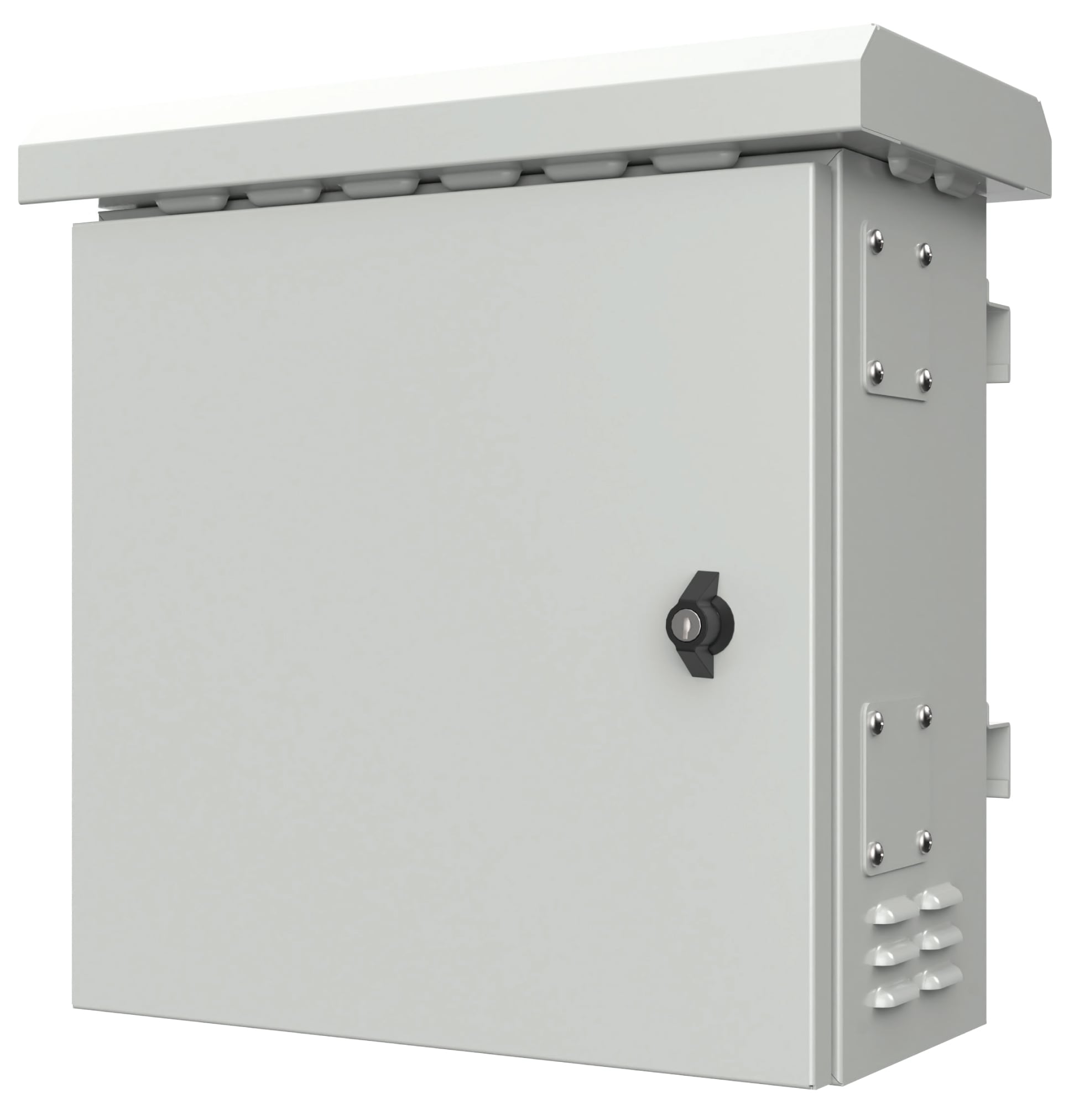 Armadio Rack 19'' Fissaggio a Palo P 250 mm IP66 Mini - Immagine 1